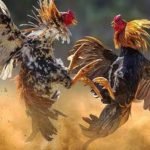 8aeb6df789265e994b57f4db98d98b731a187744d9825d090ae4fc4034141658.0