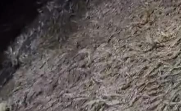 1000003120-removebg-preview-5-4