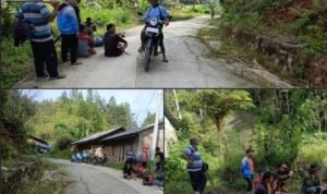 Screenshot_20260213_175211_Gallery