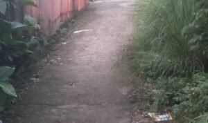 IMG-20260531-WA0010