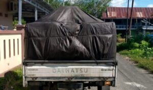 IMG-20260709-WA0018